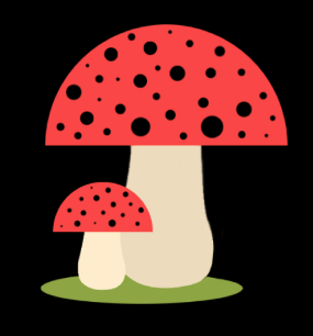 Flugsvamp